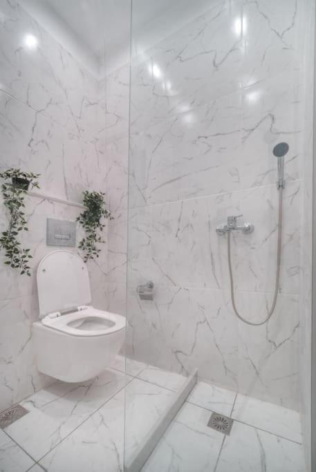 Apartmán Εστία 10 Λεπτά Από Την Ακρόπολη Atény Exteriér fotografie